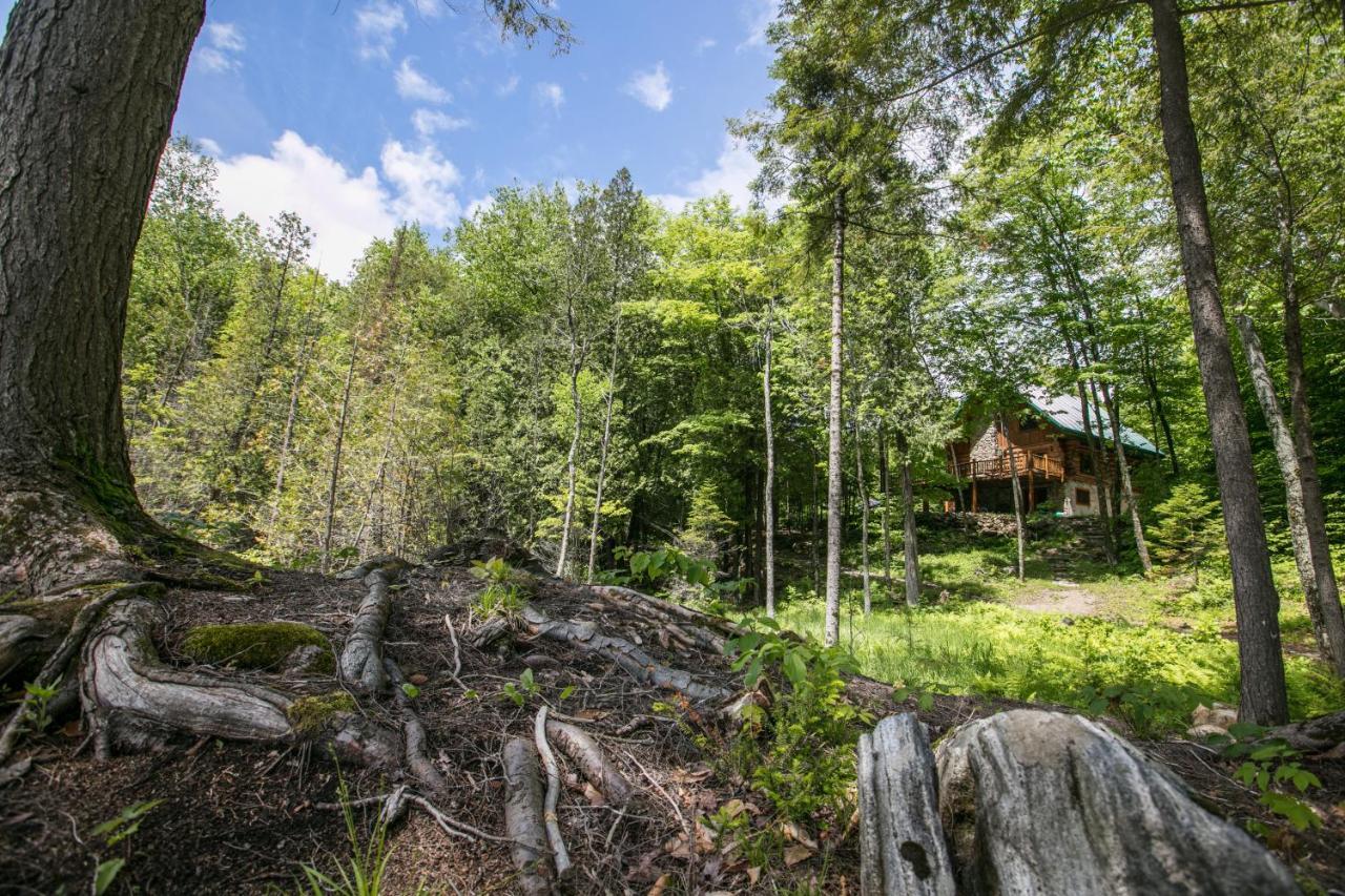 Domaine La Cedriere Villa Grenville-Sur-La-Rouge Exteriör bild